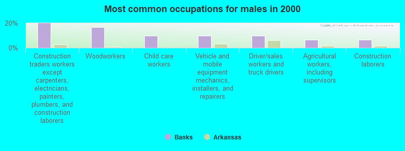 Most common occupations for males in 2000