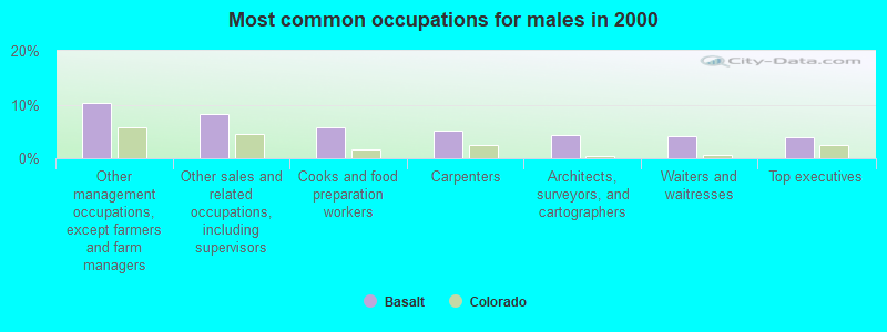 Most common occupations for males in 2000