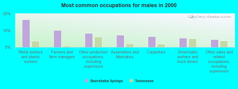 Most common occupations for males in 2000