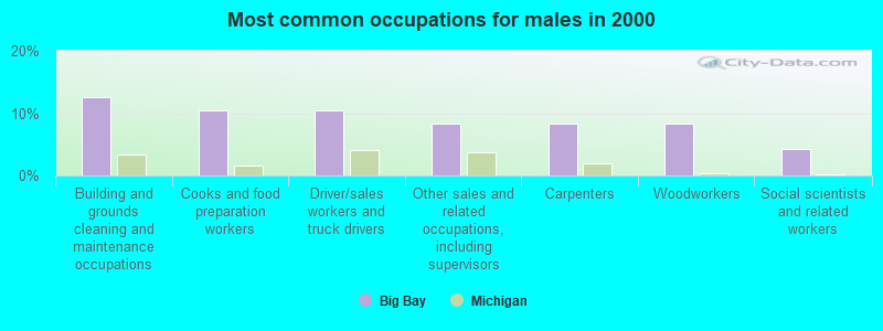 Most common occupations for males in 2000