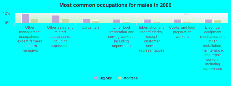 Most common occupations for males in 2000