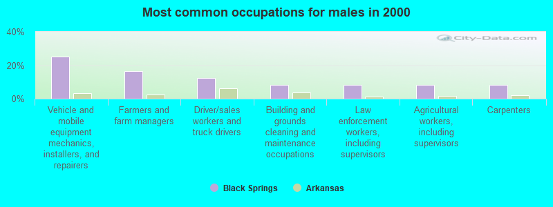 Black Springs, Arkansas (AR 71960) profile: population, maps, real
