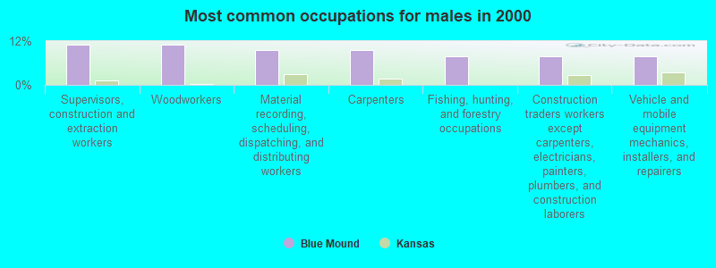 Most common occupations for males in 2000