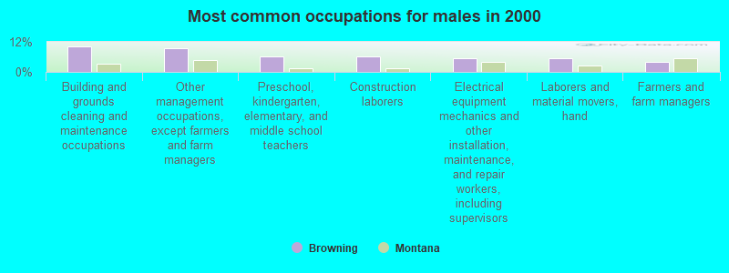 Most common occupations for males in 2000