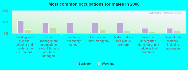 Most common occupations for males in 2000