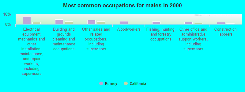 Most common occupations for males in 2000