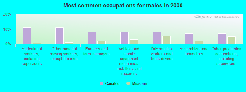 Most common occupations for males in 2000