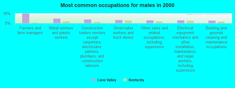 Most common occupations for males in 2000