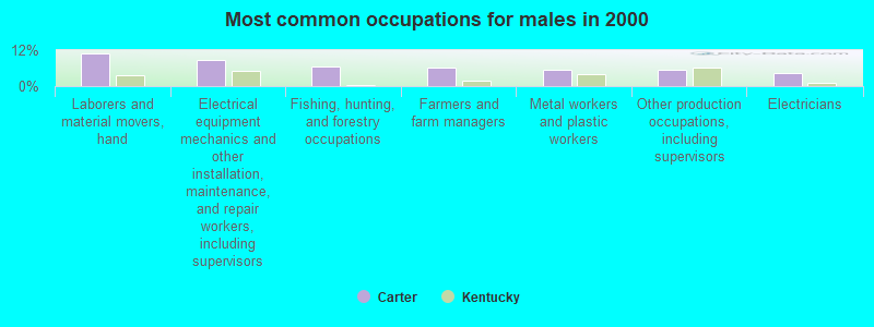 Most common occupations for males in 2000