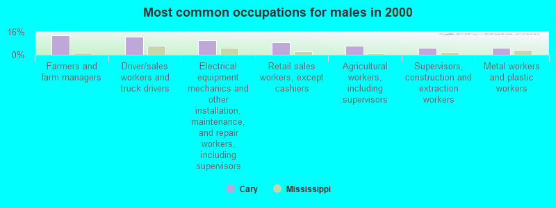 Most common occupations for males in 2000