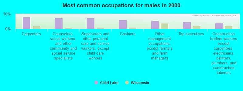 Most common occupations for males in 2000