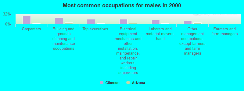 Most common occupations for males in 2000