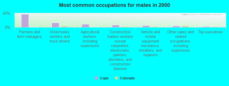 Most common occupations for males in 2000