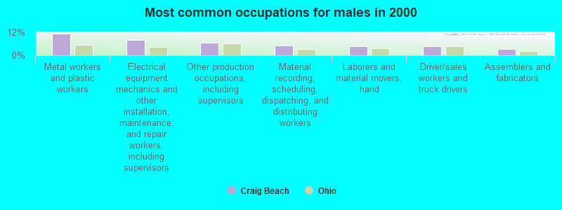 Most common occupations for males in 2000