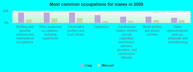 Most common occupations for males in 2000