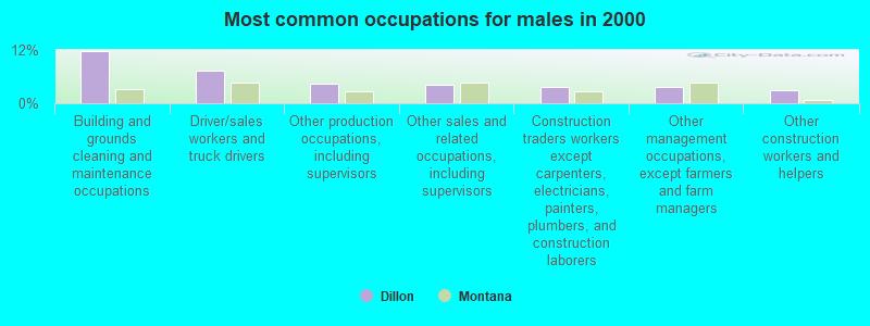 Most common occupations for males in 2000