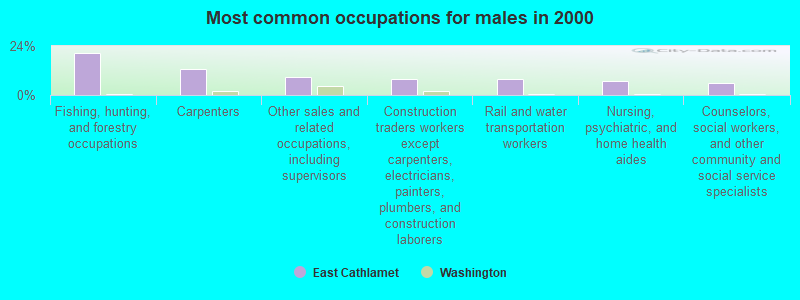 Most common occupations for males in 2000