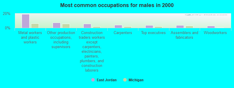 Most common occupations for males in 2000