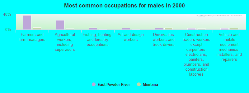 Most common occupations for males in 2000