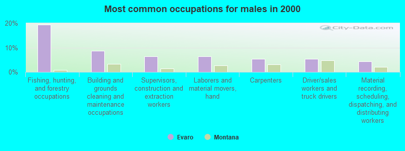 Most common occupations for males in 2000