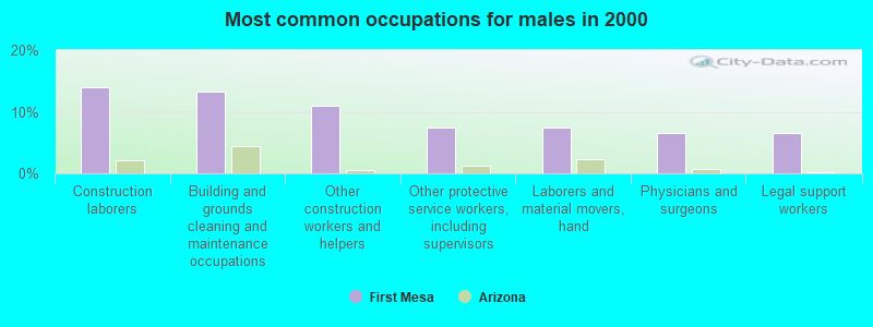 Most common occupations for males in 2000