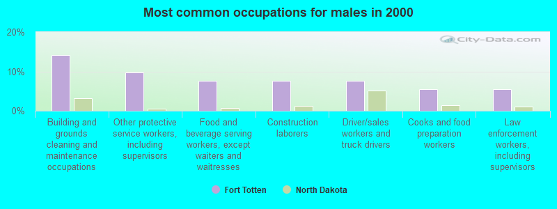 Most common occupations for males in 2000