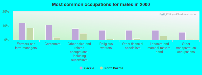 Most common occupations for males in 2000