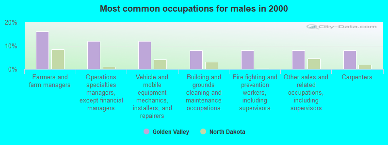 Most common occupations for males in 2000