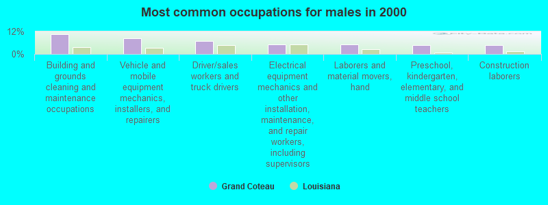 Most common occupations for males in 2000