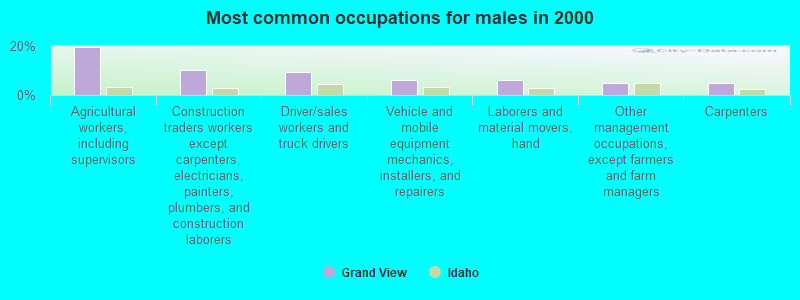 Most common occupations for males in 2000