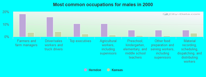 Most common occupations for males in 2000