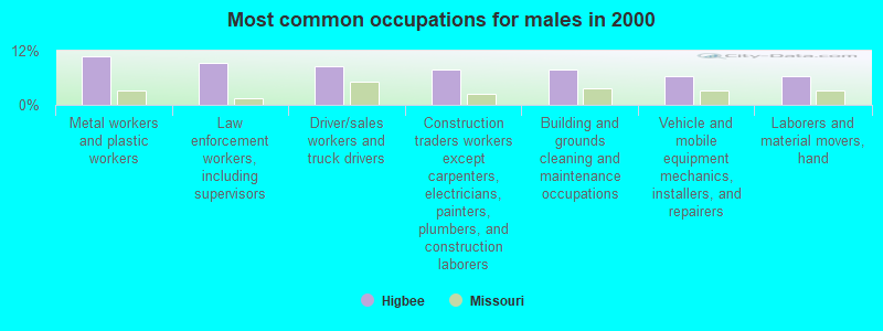 Most common occupations for males in 2000