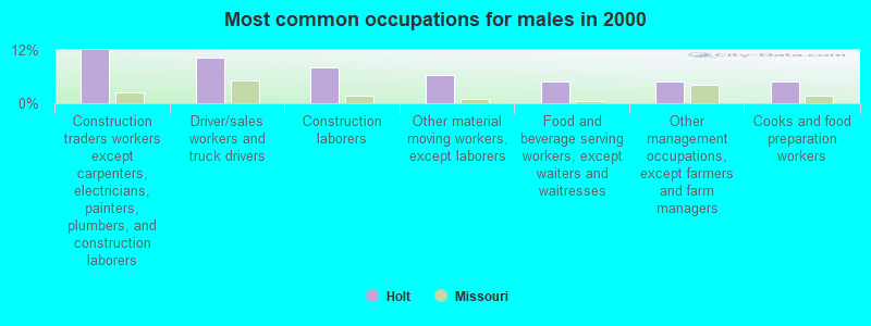 Most common occupations for males in 2000