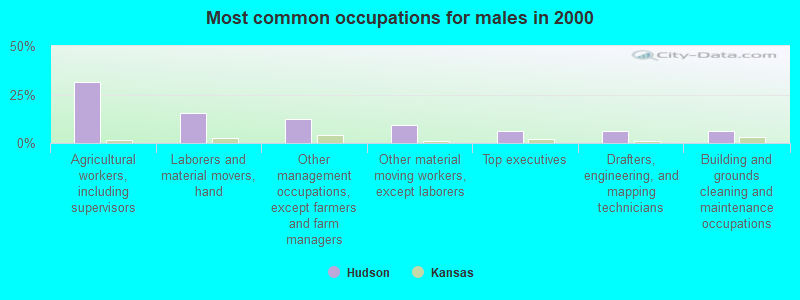 Most common occupations for males in 2000