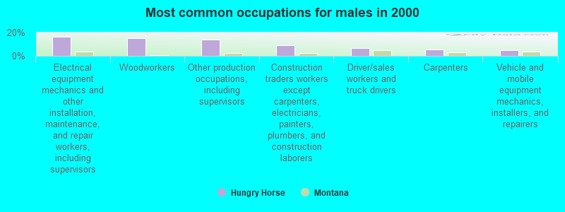 Most common occupations for males in 2000