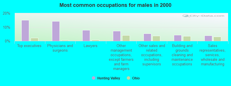 Most common occupations for males in 2000