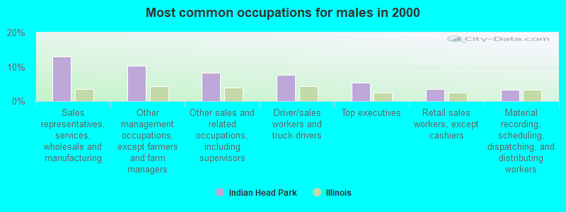 Most common occupations for males in 2000