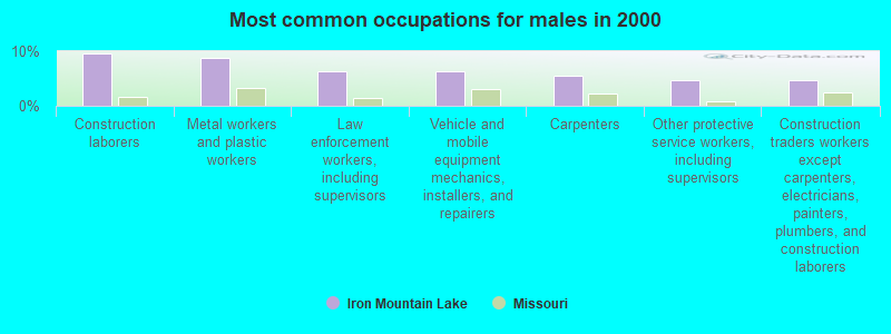 Most common occupations for males in 2000