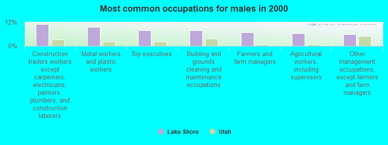 Most common occupations for males in 2000