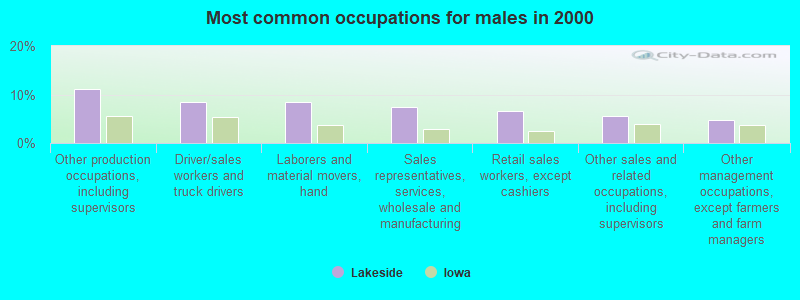 Most common occupations for males in 2000