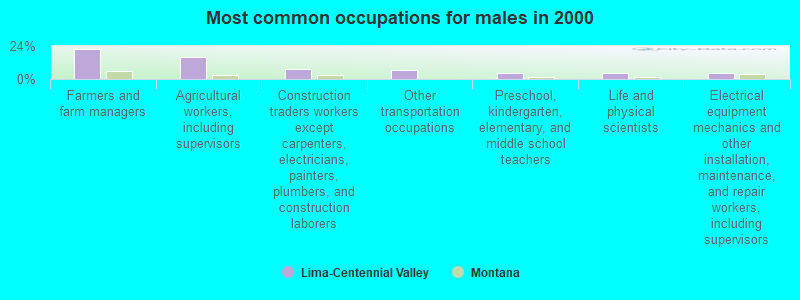 Most common occupations for males in 2000