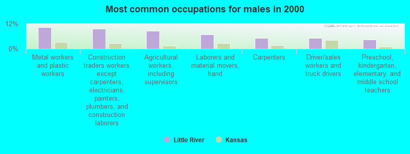 Most common occupations for males in 2000