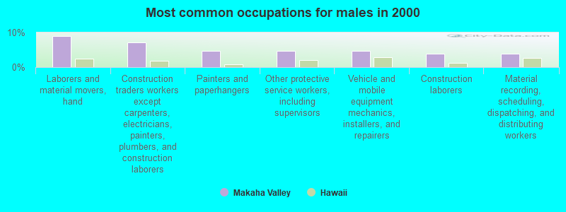 Most common occupations for males in 2000