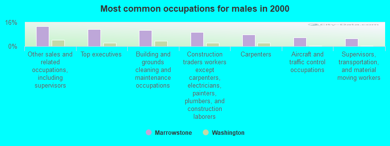 Most common occupations for males in 2000