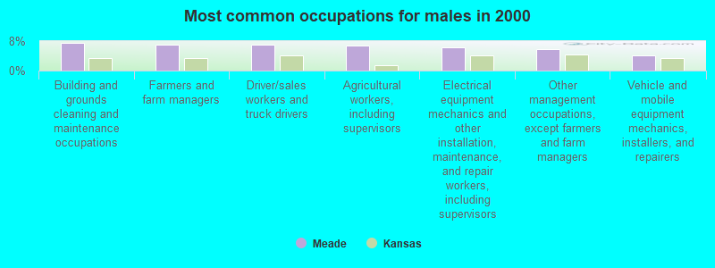 Most common occupations for males in 2000