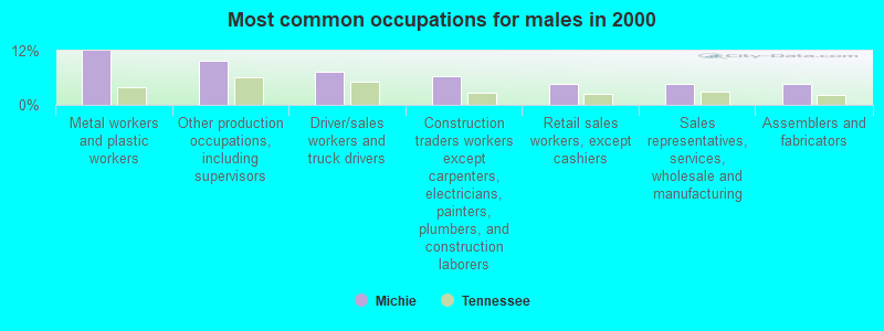 Most common occupations for males in 2000