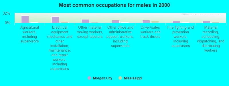 Most common occupations for males in 2000