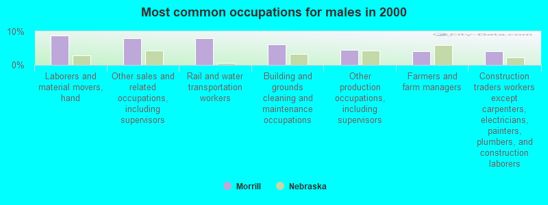 Most common occupations for males in 2000