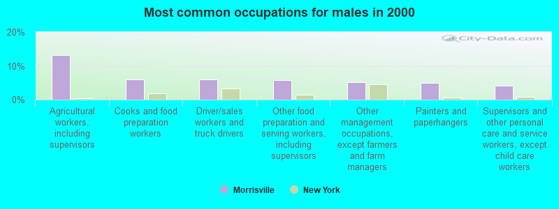 Most common occupations for males in 2000