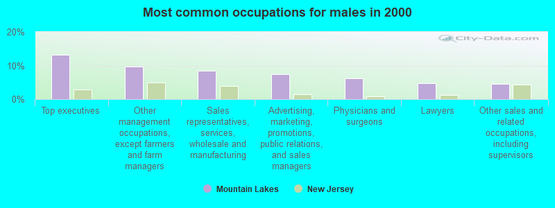 Most common occupations for males in 2000